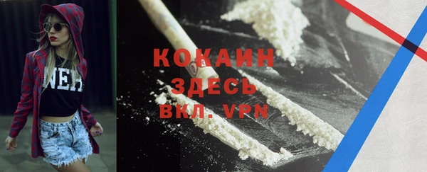 спиды Арсеньев