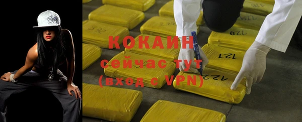 гашик Аркадак