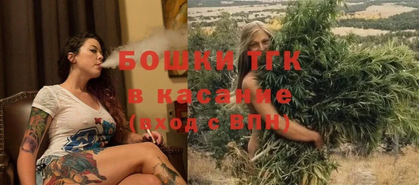 гашик Аркадак