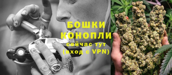 спиды Арсеньев