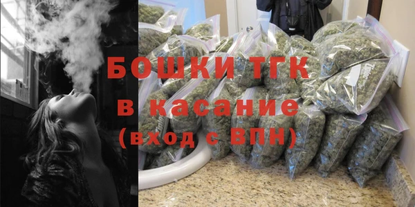 гашик Аркадак