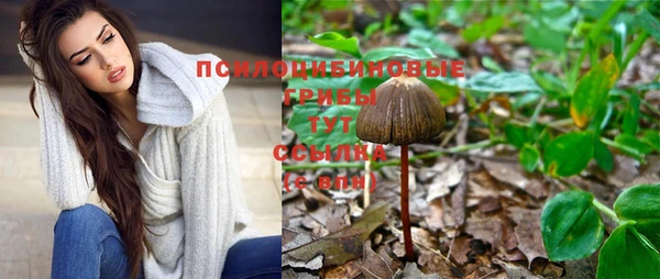 ALPHA PVP Армянск