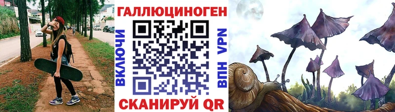 наркошоп  Байкальск  Галлюциногенные грибы Psilocybine cubensis 